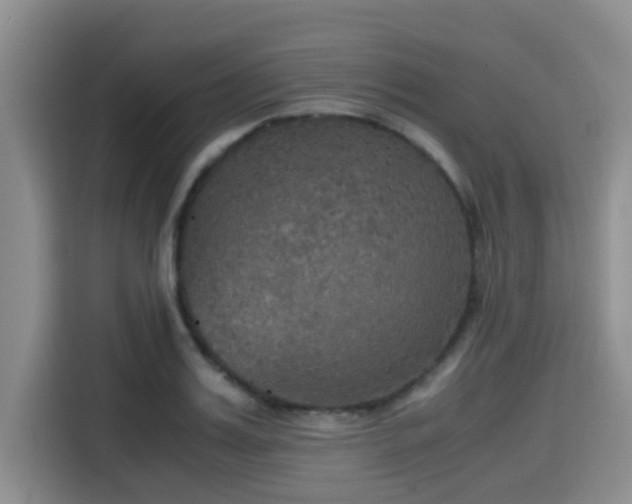 X0000115390987200911101449