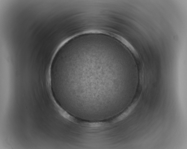 X0000115390988200911101449