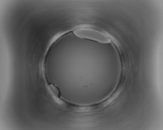 X0000115390989200911101449