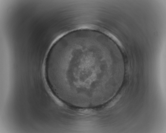 X0000115390991200911101449