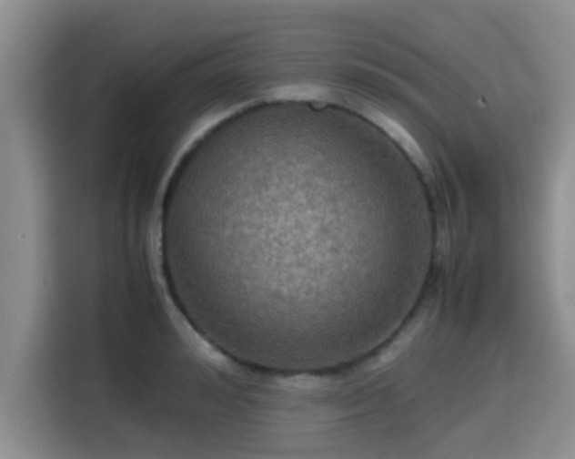 X0000115390992200911101449