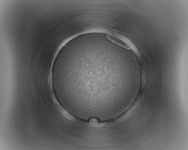 X0000115390996200911101448