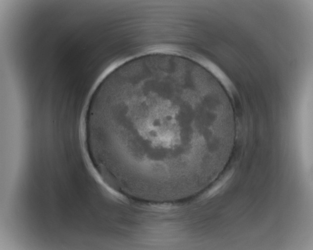 X0000115390999200911101448