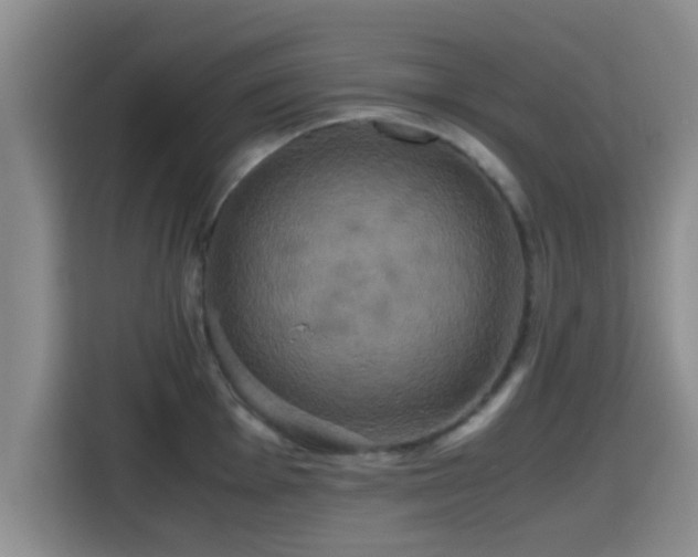 X0000115391001200911101448