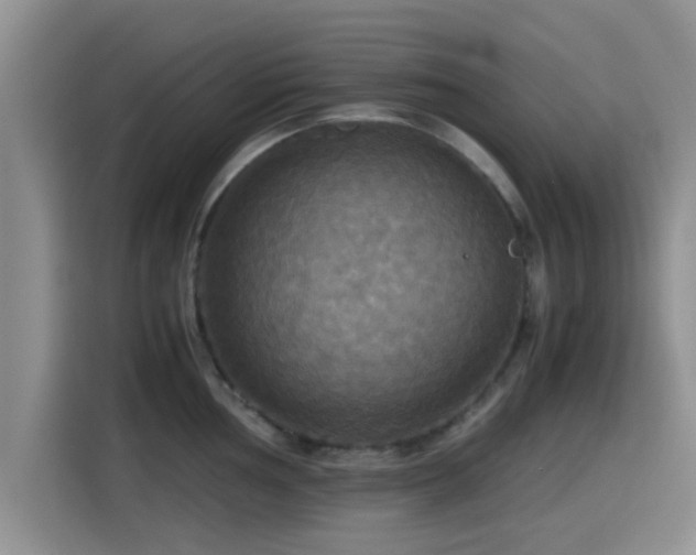 X0000115391002200911101448