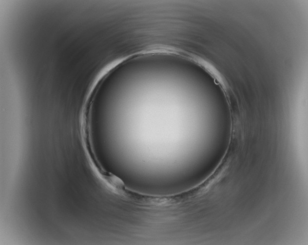 X0000115391003200911101448