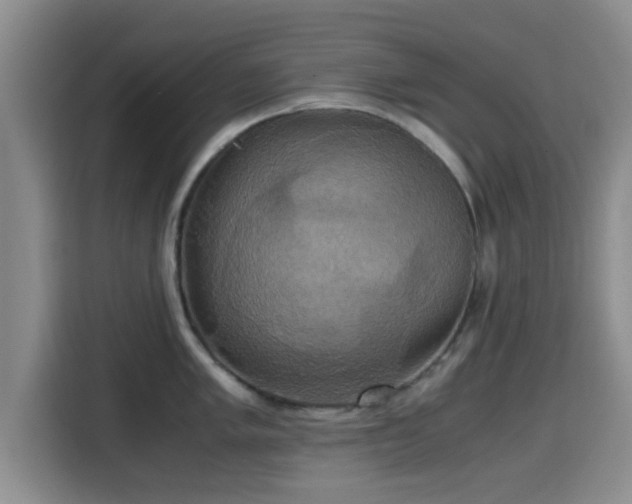 X0000115391005200911101448