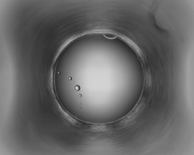 X0000115391006200911101448