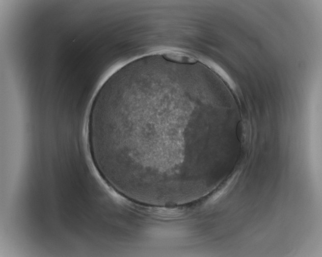 X0000115391007200911101448