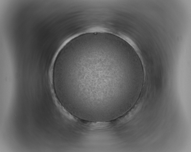 X0000115391008200911101448