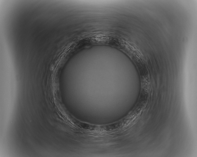 X0000115391009200911101448