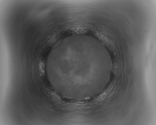 X0000115391010200911101448