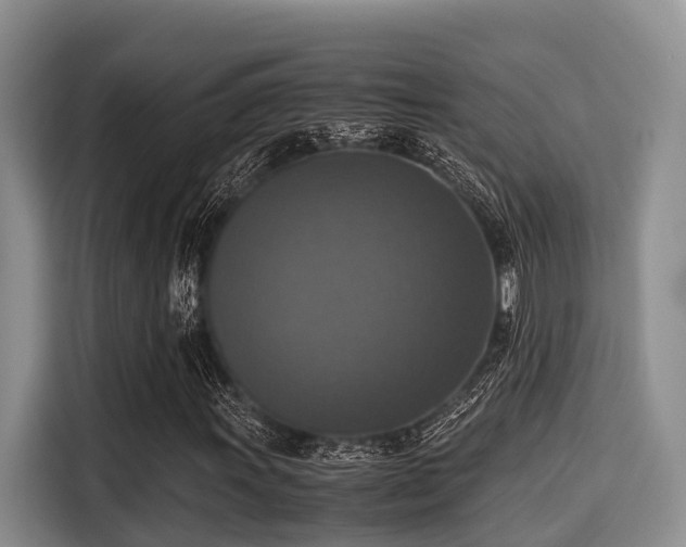 X0000115391011200911101448