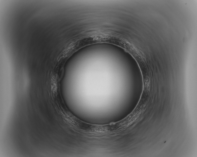 X0000115391012200911101448