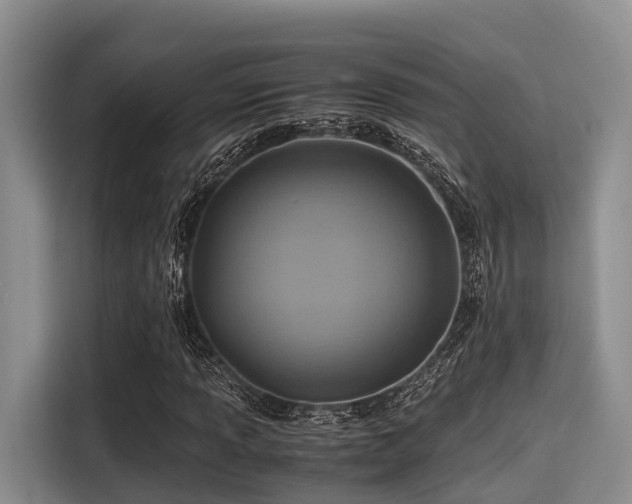 X0000115391013200911101448