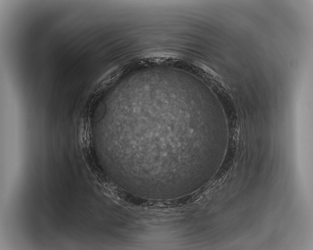 X0000115391014200911101448