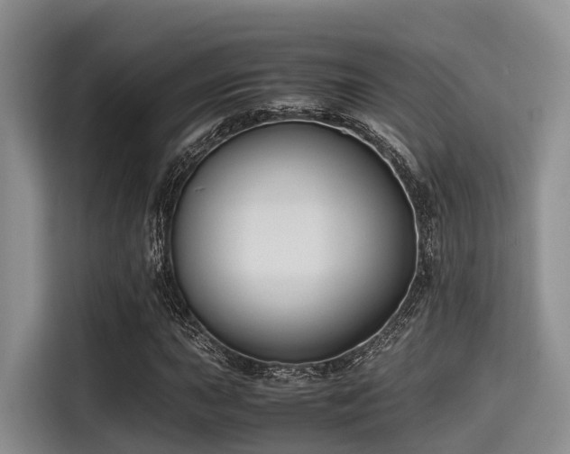 X0000115391015200911101448