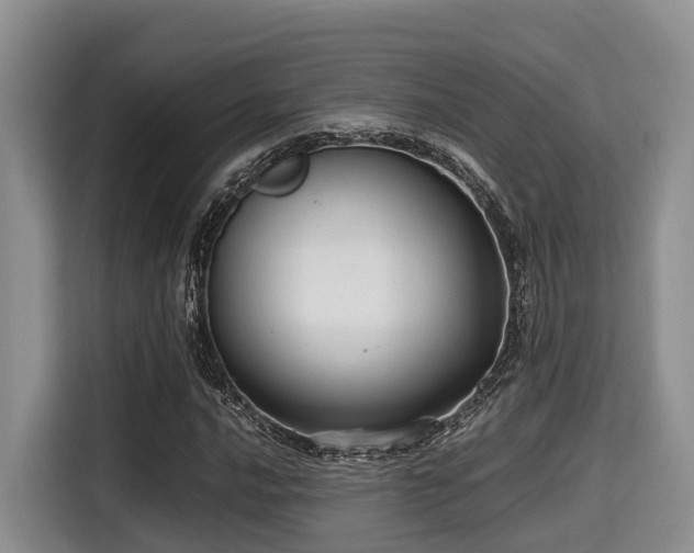 X0000115391016200911101448