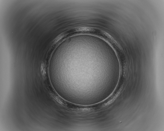 X0000115391017200911101448