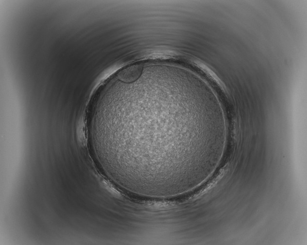 X0000115391018200911101448