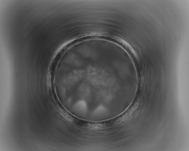 X0000115391019200911101448