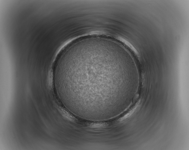 X0000115391021200911101448