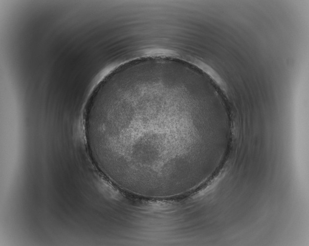 X0000115391022200911101448