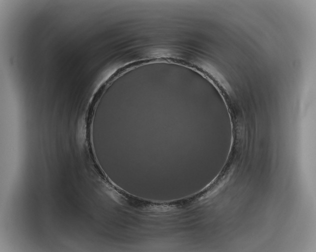 X0000115391023200911101448