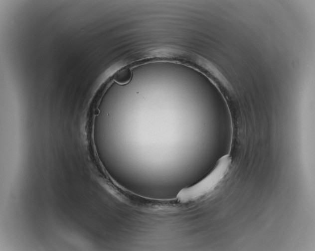X0000115391026200911101448
