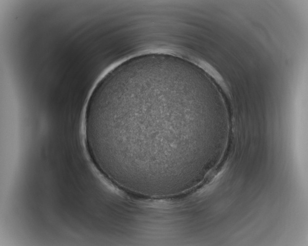 X0000115391028200911101448