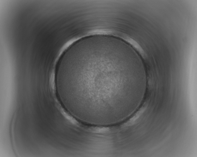 X0000115391030200911101448