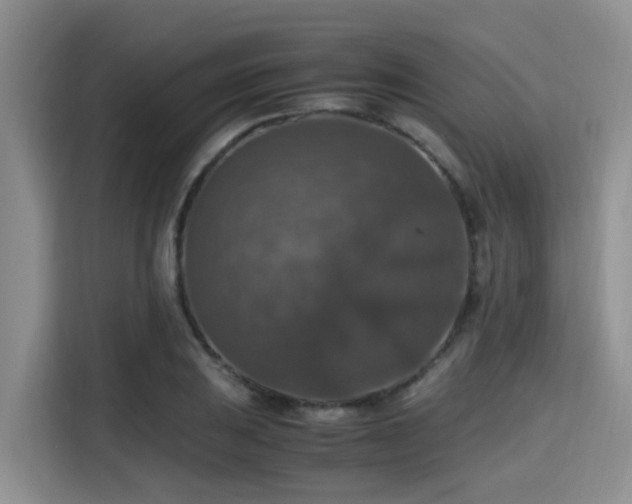 X0000115391031200911101448