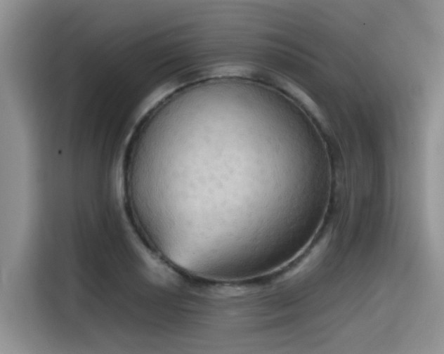 X0000115391034200911101448