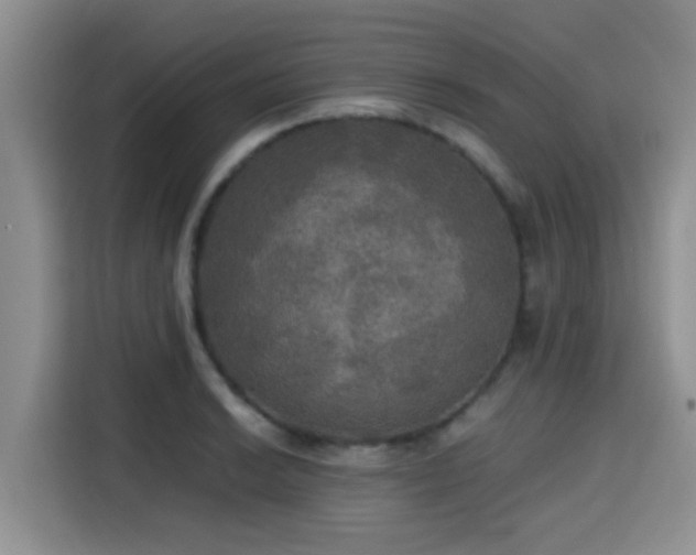 X0000115391038200911101448