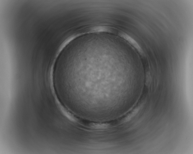 X0000115391039200911101448
