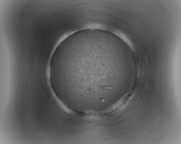 X0000115391040200911101448
