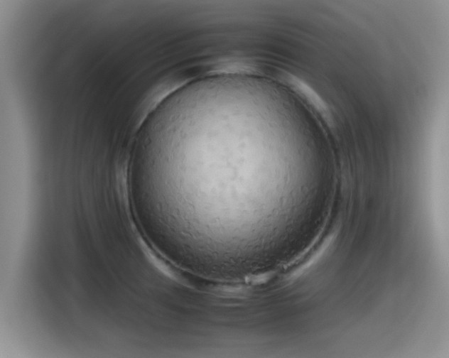 X0000115391041200911101448