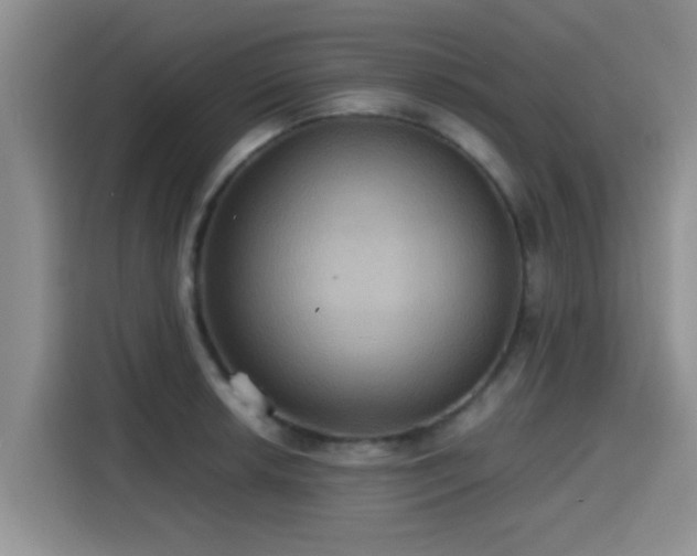X0000115391042200911101448