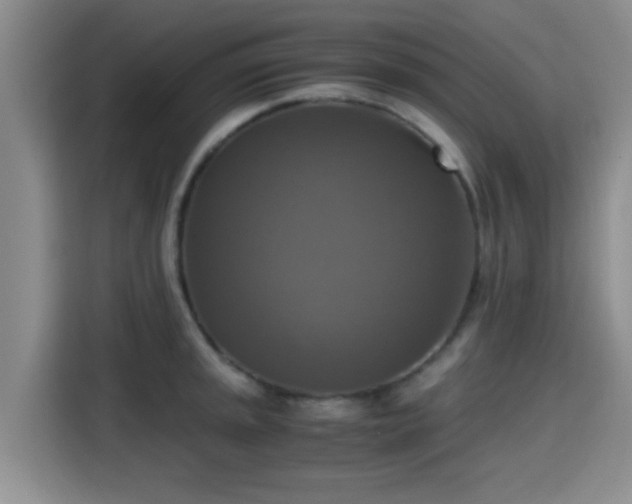 X0000115391045200911101448