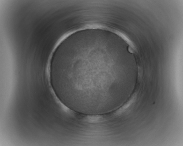 X0000115391046200911101448