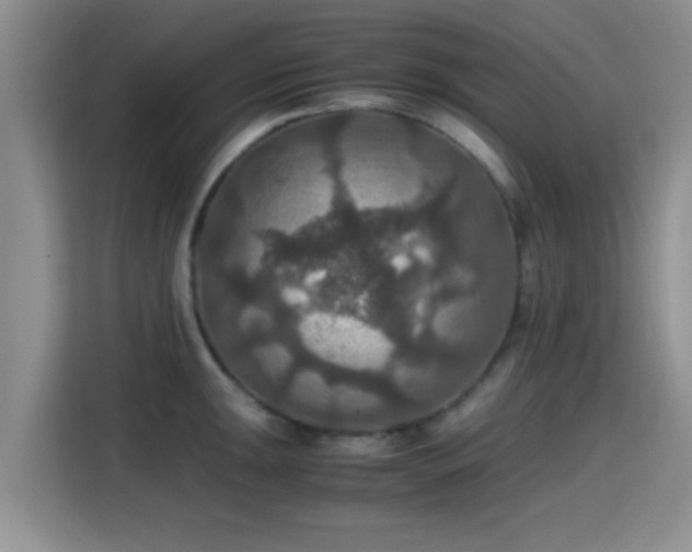 X0000115391047200911101448