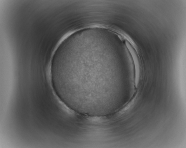 X0000115391048200911101448