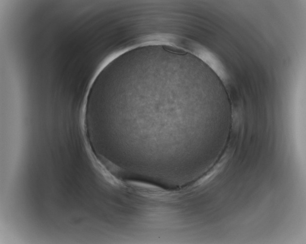 X0000115391052200911101448