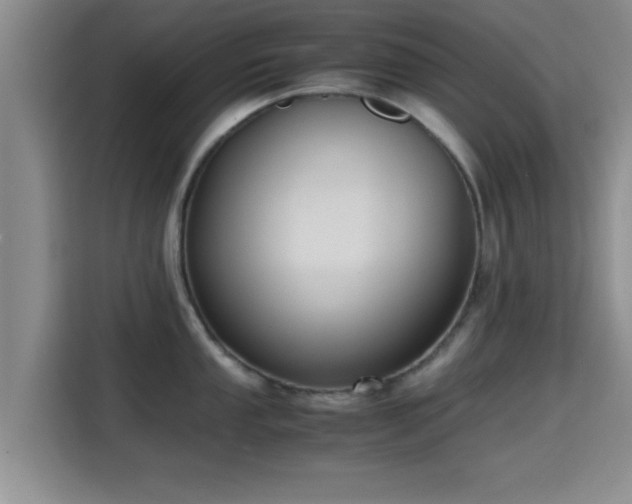 X0000115391053200911101448