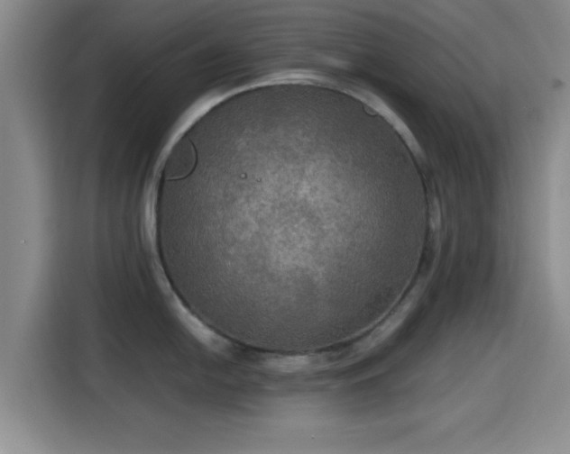 X0000115391054200911101448
