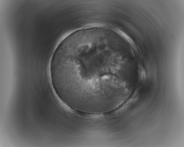 X0000115391055200911101448