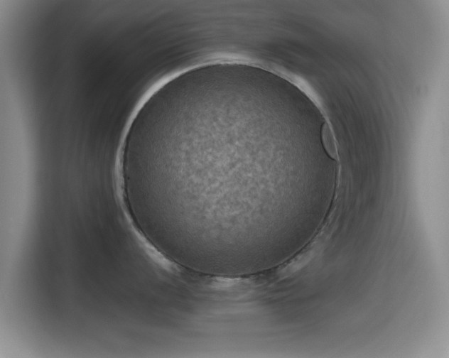 X0000115391056200911101448