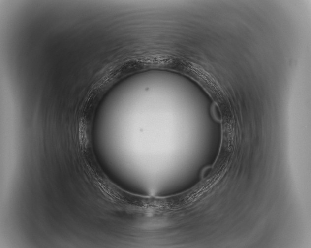 X0000115391058200911101448