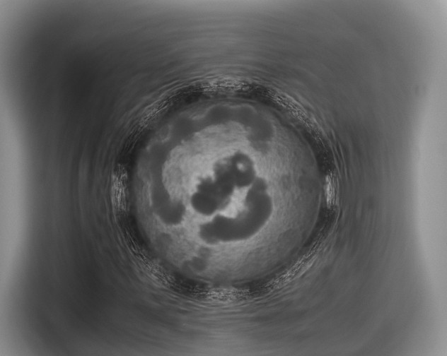 X0000115391059200911101448