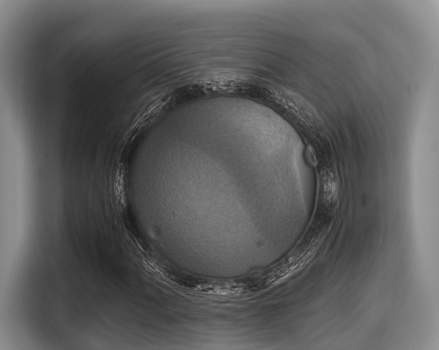 X0000115391060200911101448